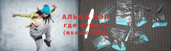 прущие грибы Аркадак