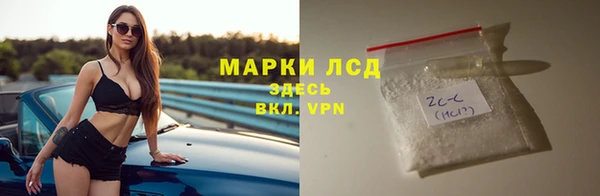 прущие грибы Аркадак