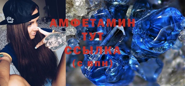 прущие грибы Аркадак