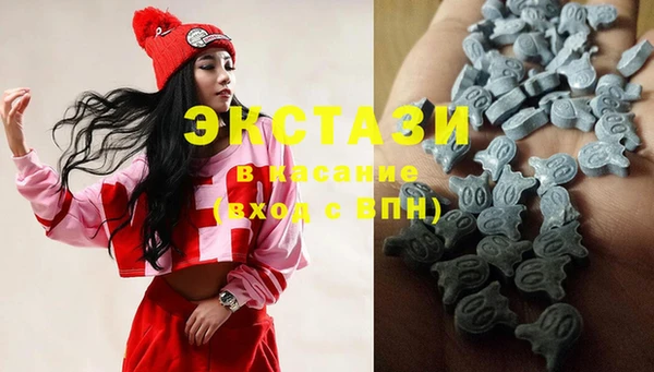 прущие грибы Аркадак