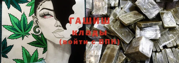 прущие грибы Аркадак