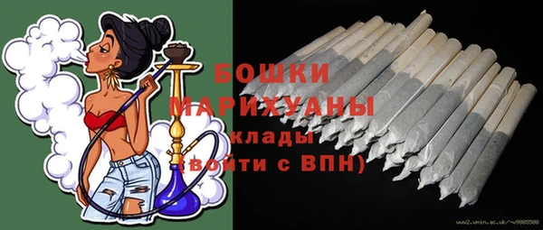 прущие грибы Аркадак